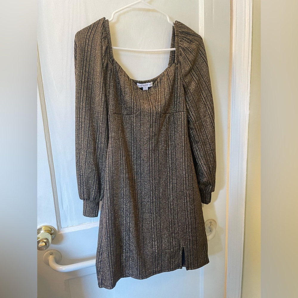Zara Chic Black and Gold Long Sleeve Dress